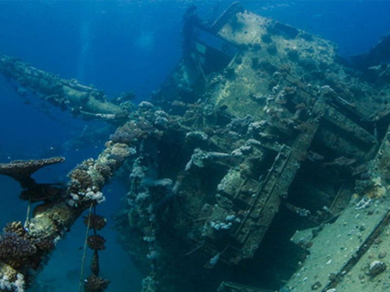 Sri Lanka's Shipwrecks Surface in 2024 Tourism Boom - Lanka News Line