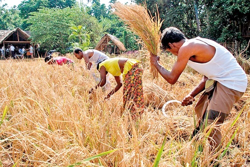 අර්බුදයේ දිශානතිය සහ පෙරමග