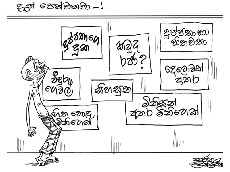 දේශපාලන දිලීරය