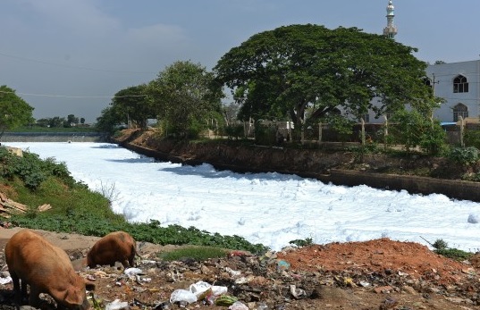 The  Foaming Lake