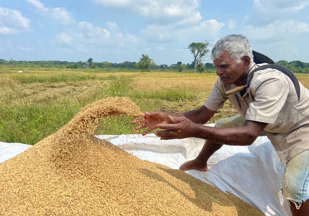 Farmer’s Struggle for Fair Prices